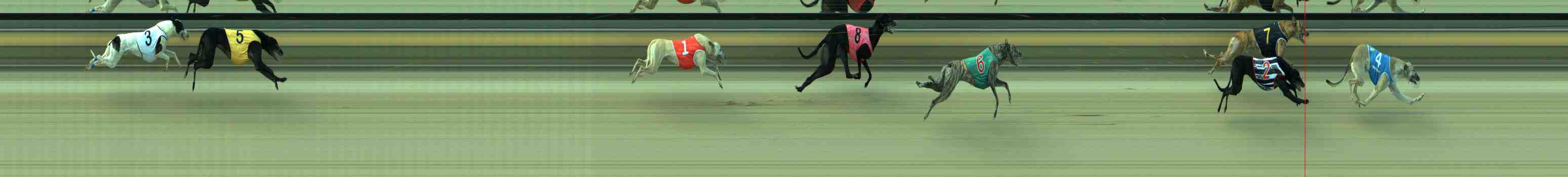 Photo finish for Sale Race 12
