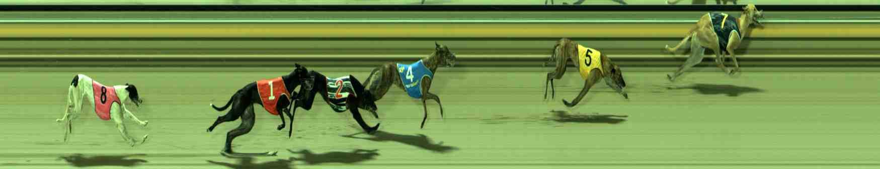 Photo finish for Sale Race 2