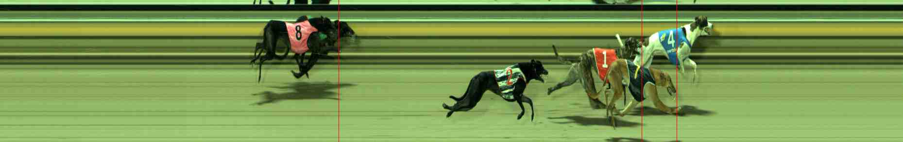 Photo finish for Sale Race 3