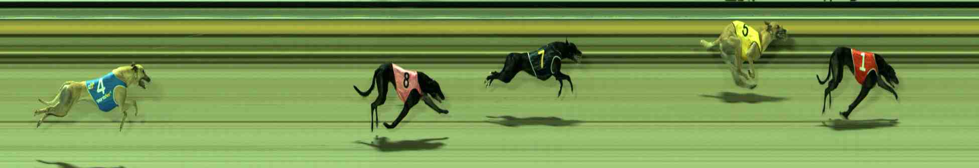Photo finish for Sale Race 4