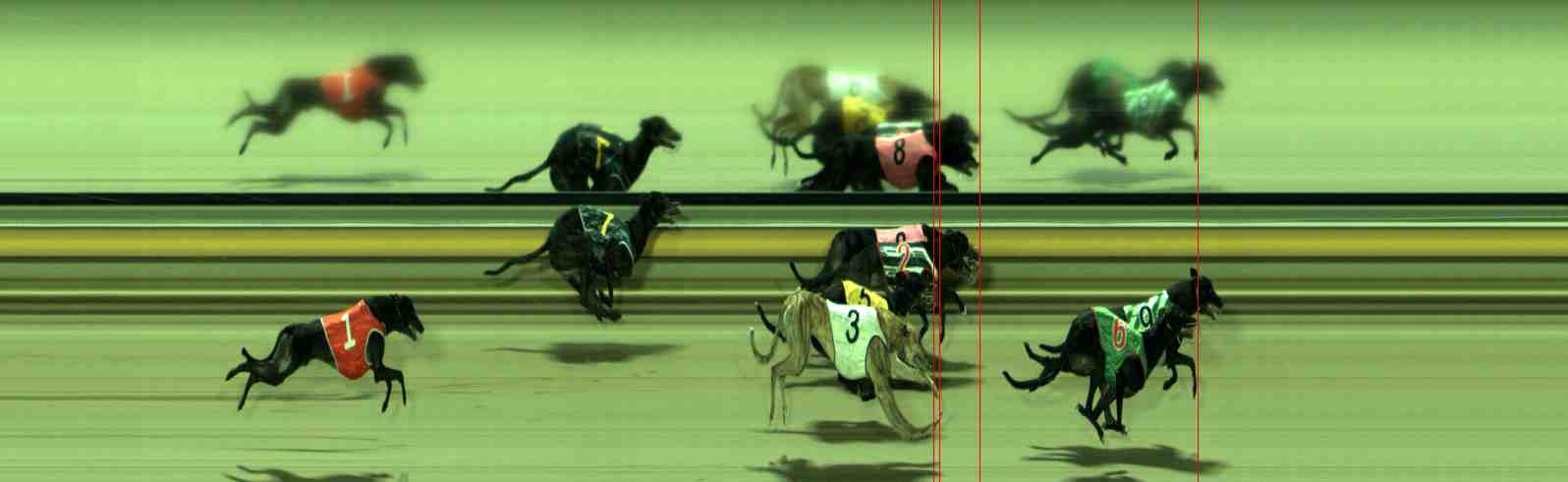 Photo finish for Sale Race 5