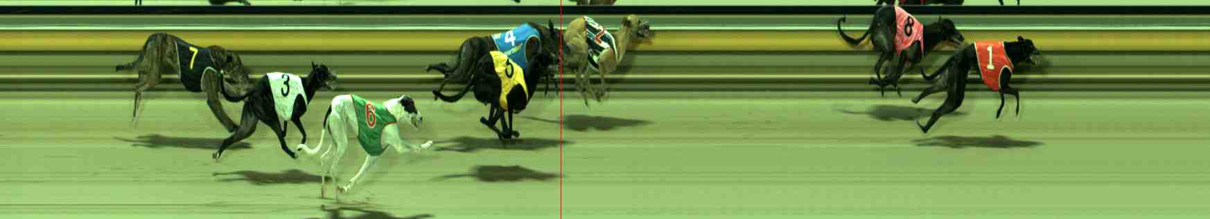 Photo finish for Sale Race 6