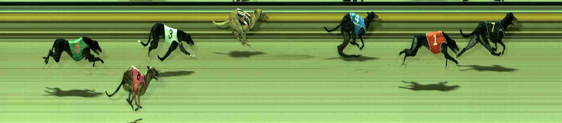 Photo finish for Sale Race 7