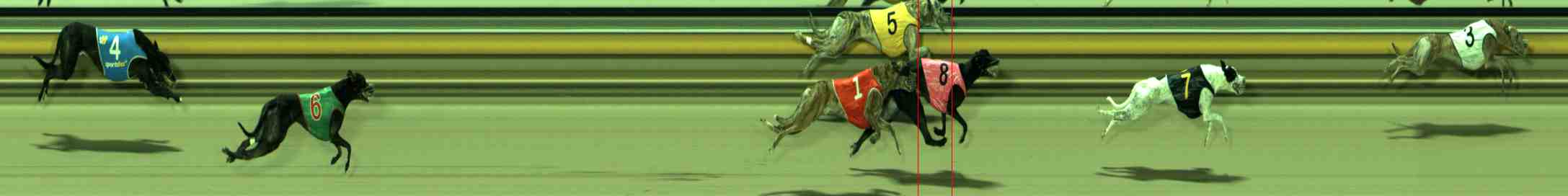 Photo finish for Sale Race 8