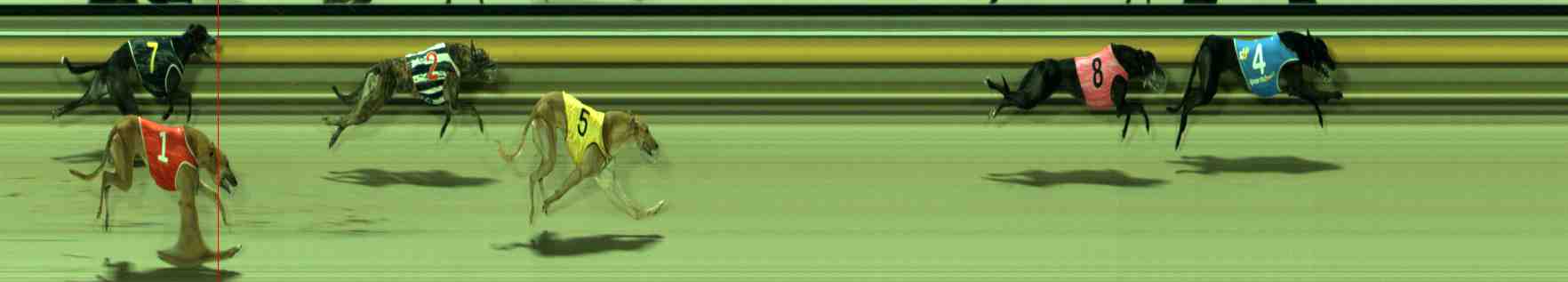 Photo finish for Sale Race 9