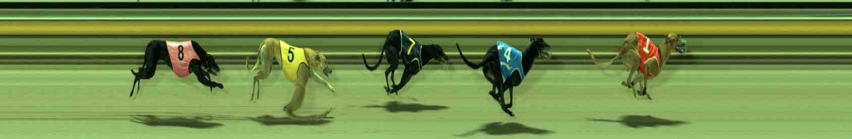 Photo finish for Sale Race 10