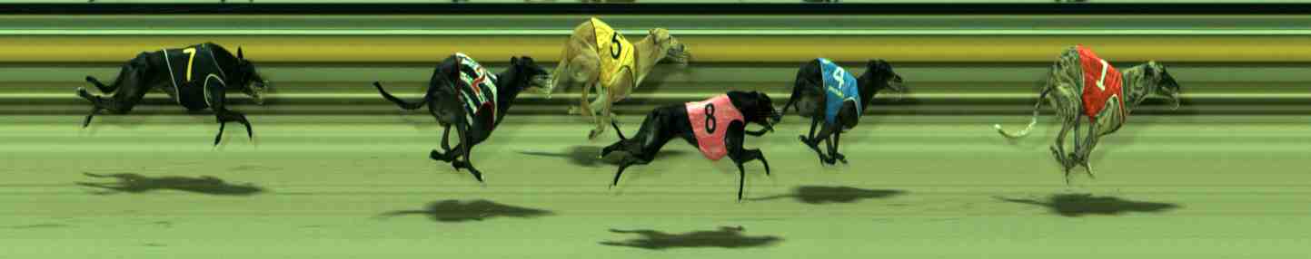 Photo finish for Sale Race 11
