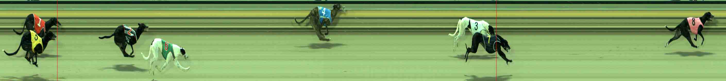 Photo finish for Sale Race 1