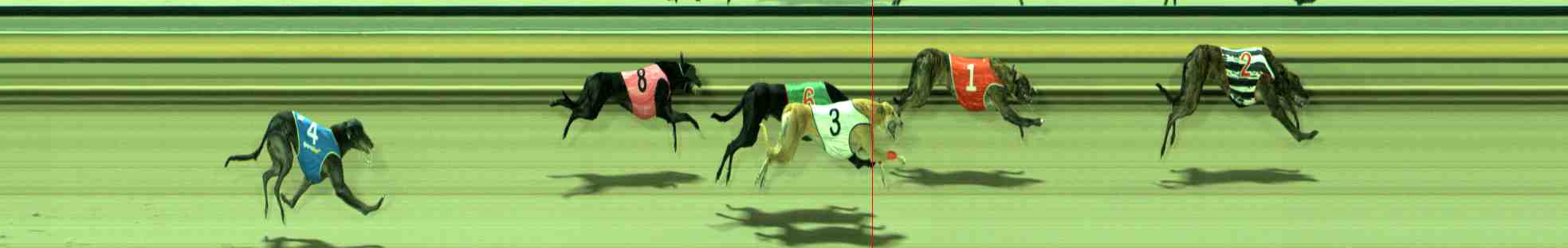 Photo finish for Sale Race 2
