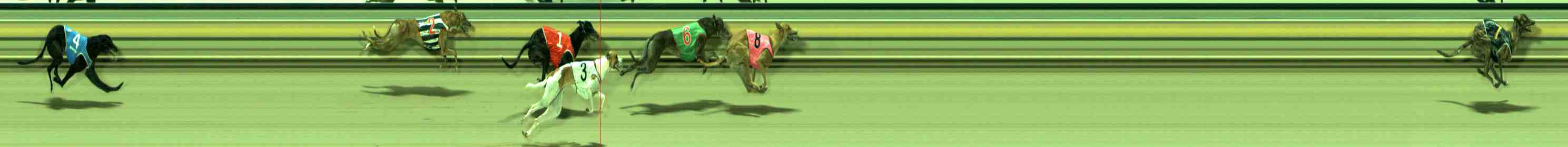 Photo finish for Sale Race 3