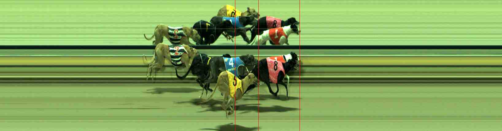 Photo finish for Sale Race 4
