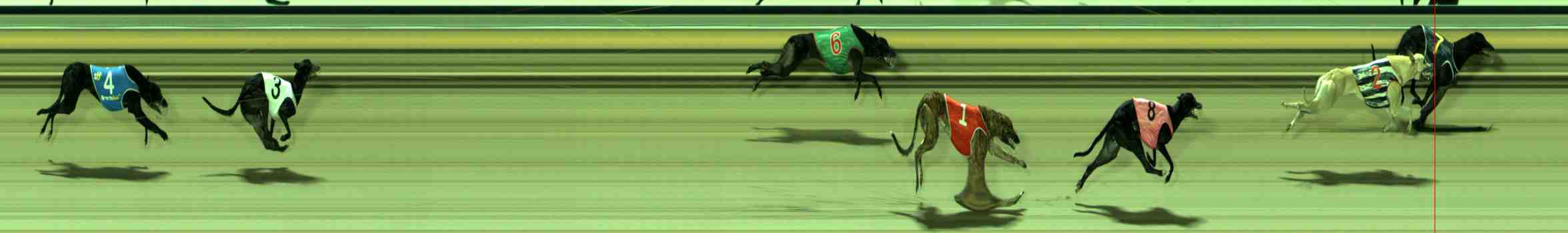 Photo finish for Sale Race 5