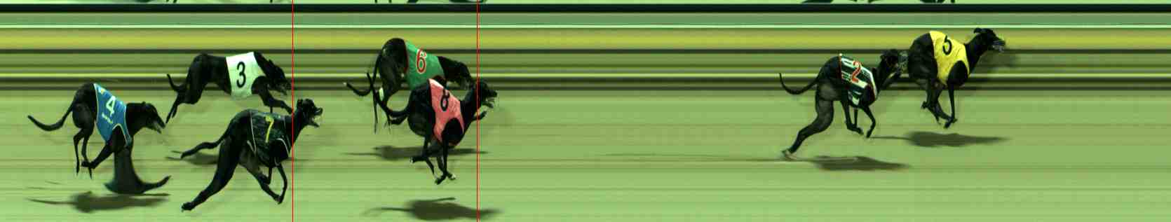 Photo finish for Sale Race 6