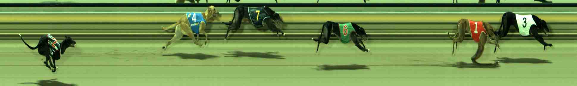 Photo finish for Sale Race 8