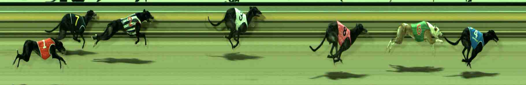 Photo finish for Sale Race 9