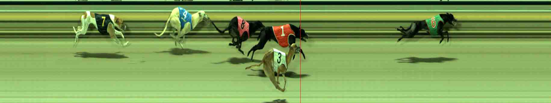 Photo finish for Sale Race 10