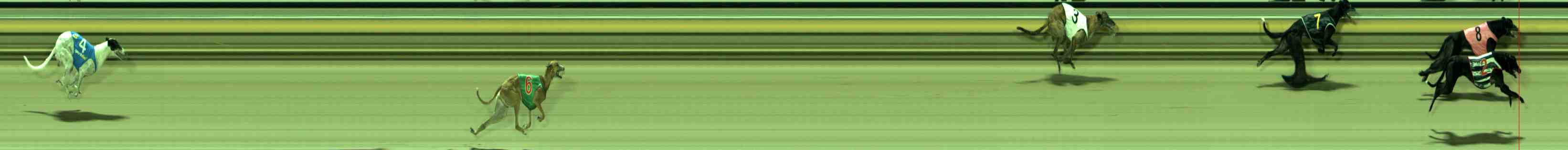 Photo finish for Sale Race 12