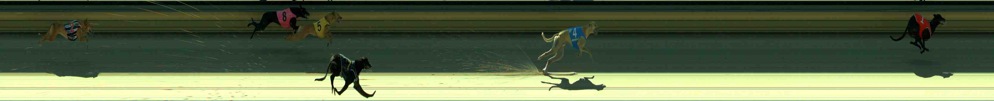 Photo finish for Sale Race 3