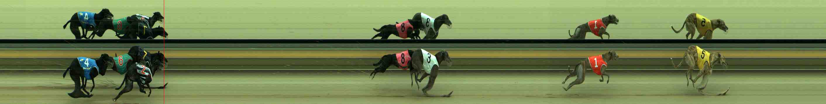 Photo finish for Sale Race 5