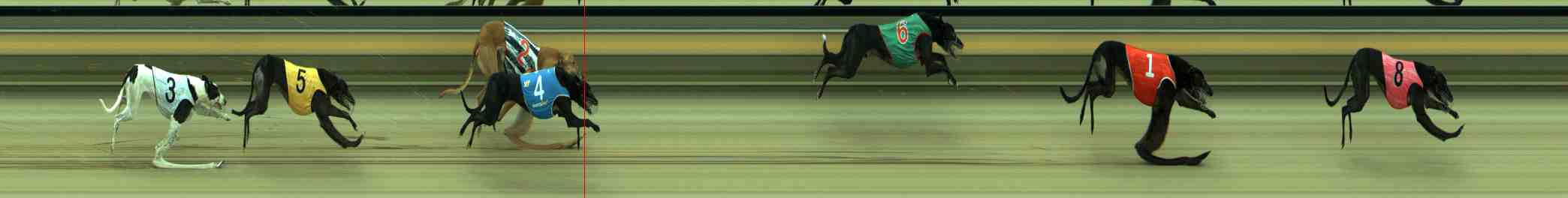Photo finish for Sale Race 6