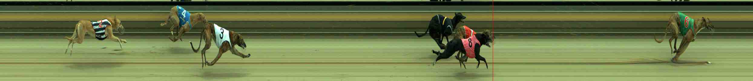 Photo finish for Sale Race 7