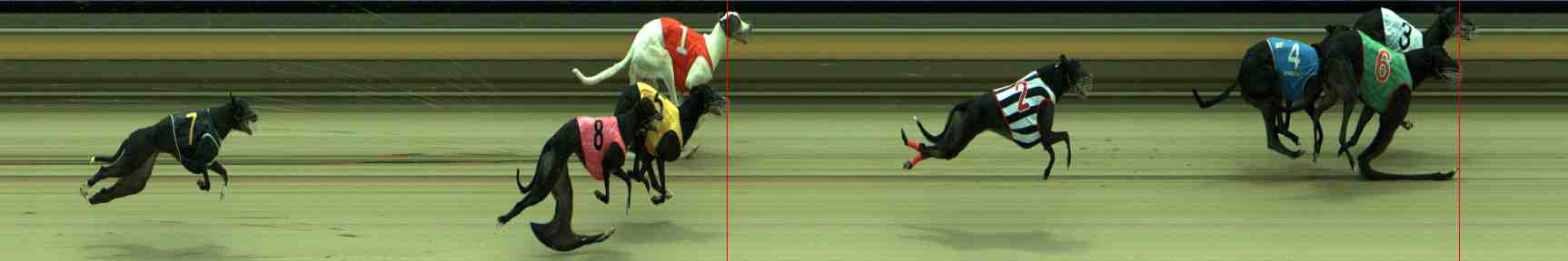 Photo finish for Sale Race 8