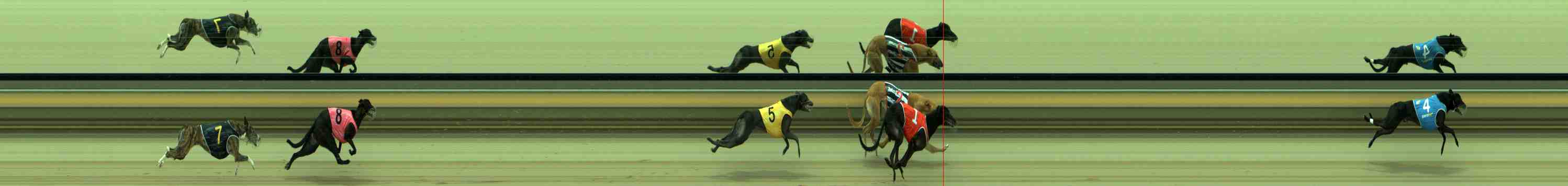 Photo finish for Sale Race 9