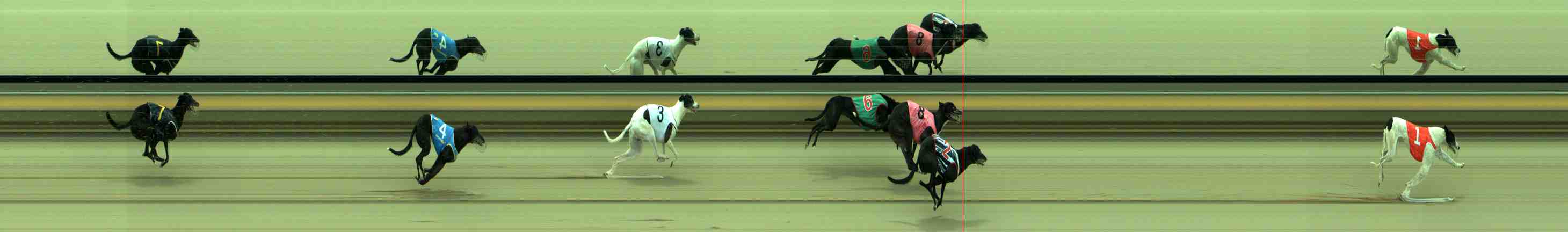 Photo finish for Sale Race 10