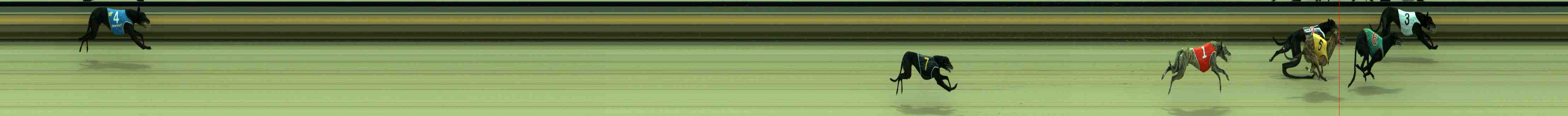 Photo finish for Sale Race 11