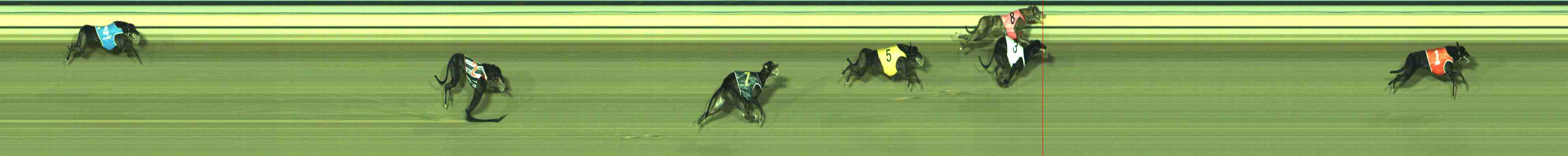 Photo finish for Sale Race 1