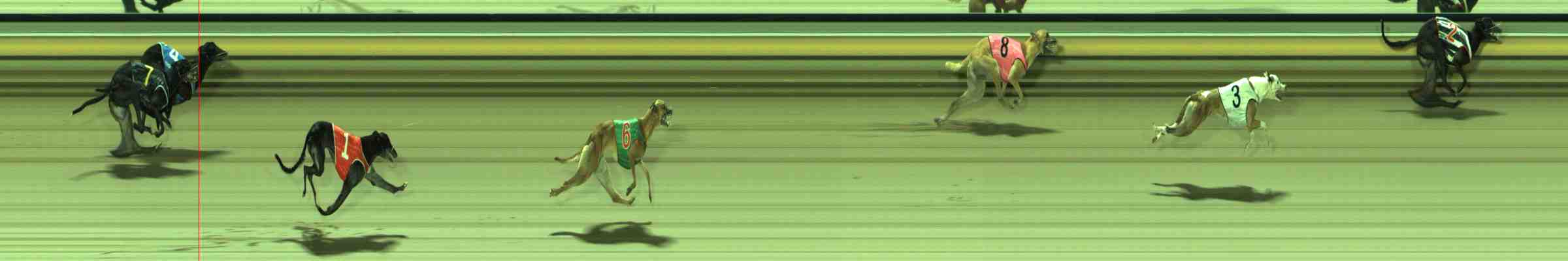 Photo finish for Sale Race 5