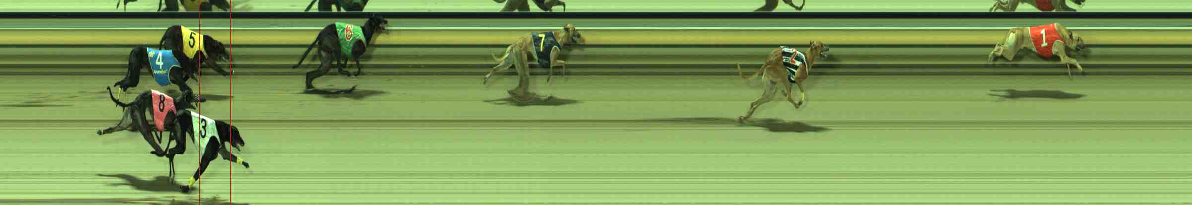 Photo finish for Sale Race 6