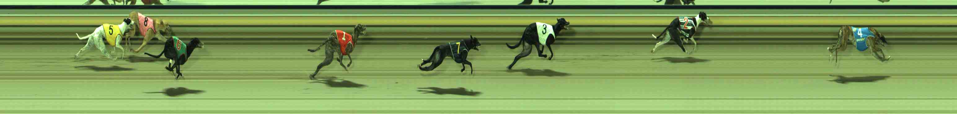 Photo finish for Sale Race 7