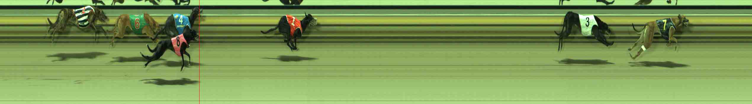Photo finish for Sale Race 9