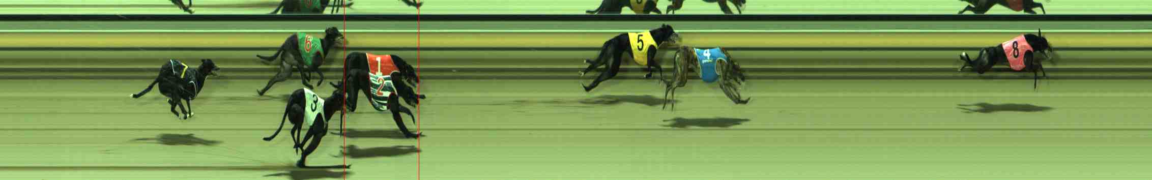 Photo finish for Sale Race 10