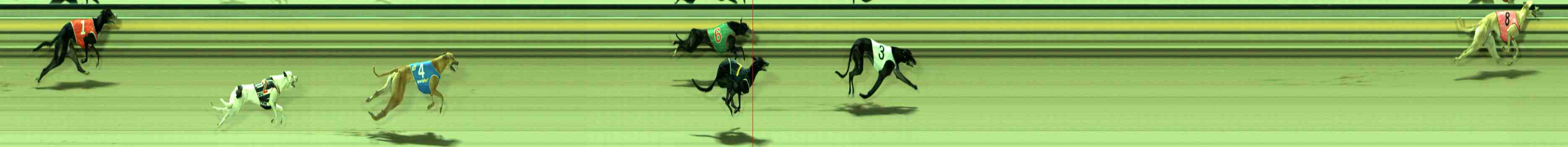 Race result finish photo