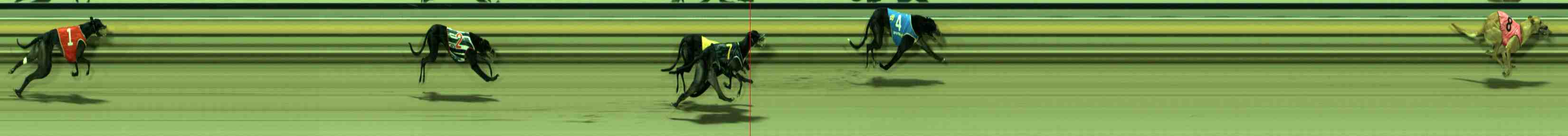 Race result finish photo