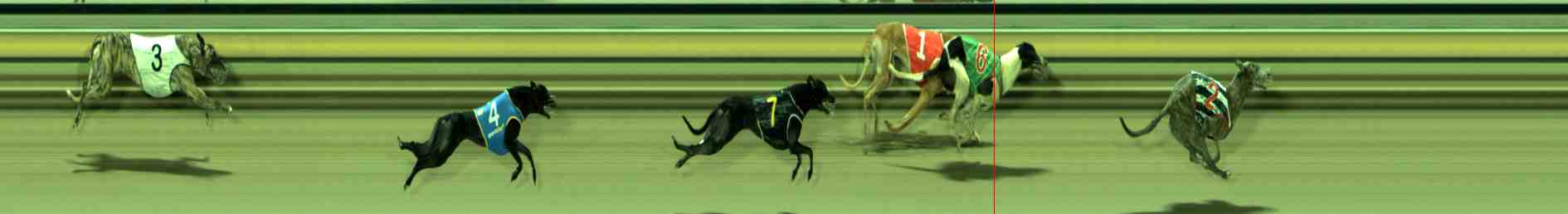 Race result finish photo