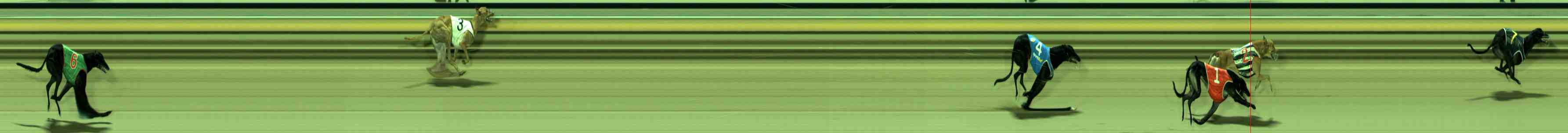 Race result finish photo