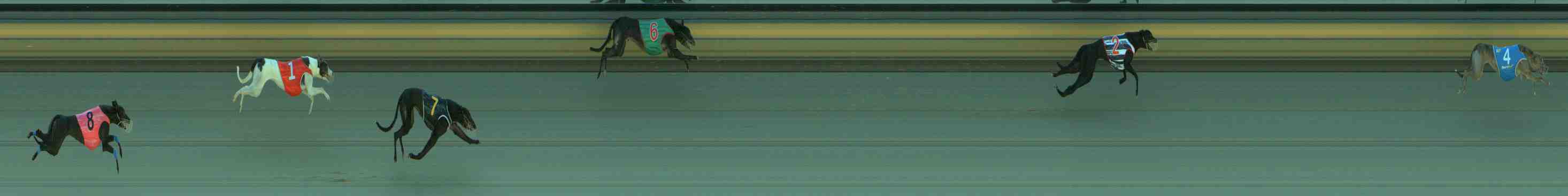 Race result finish photo