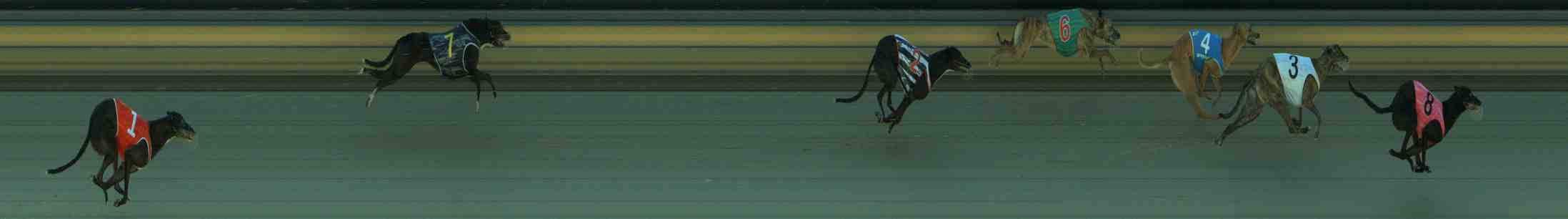 Photo finish for Sale Race 2