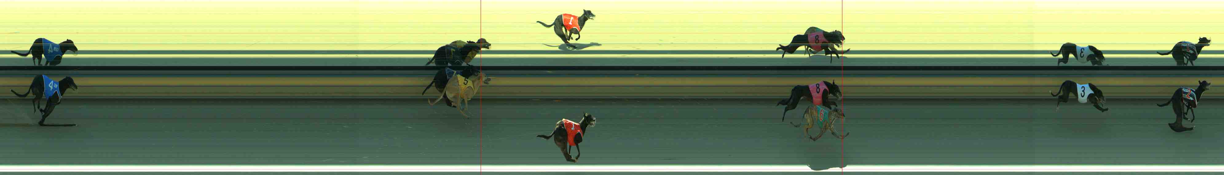 Photo finish for Sale Race 3