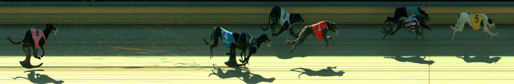 Photo finish for Sale Race 4