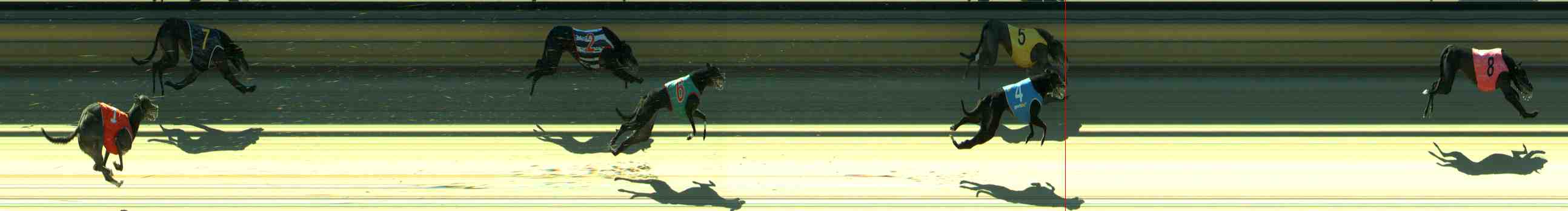 Race result finish photo
