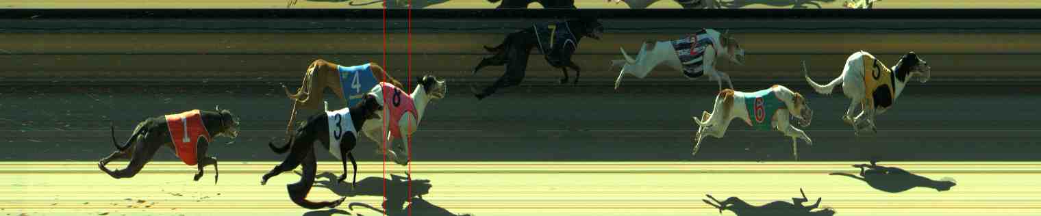 Photo finish for Sale Race 6