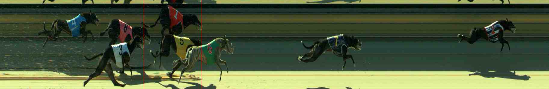 Photo finish for Sale Race 7