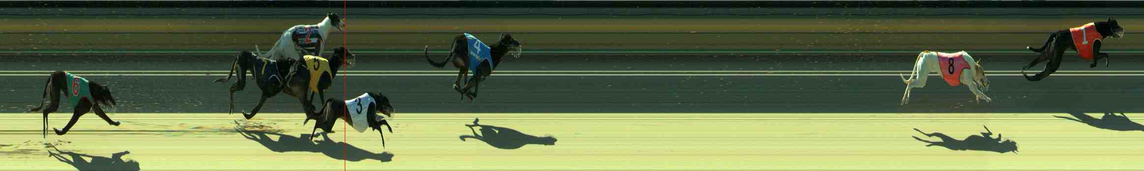 Photo finish for Sale Race 9