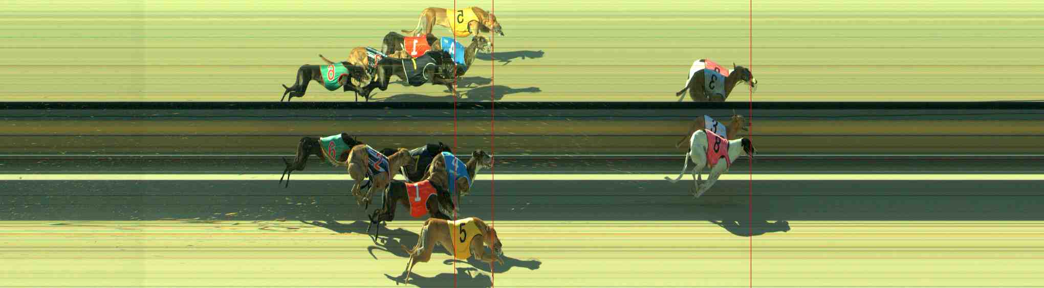 Photo finish for Sale Race 10