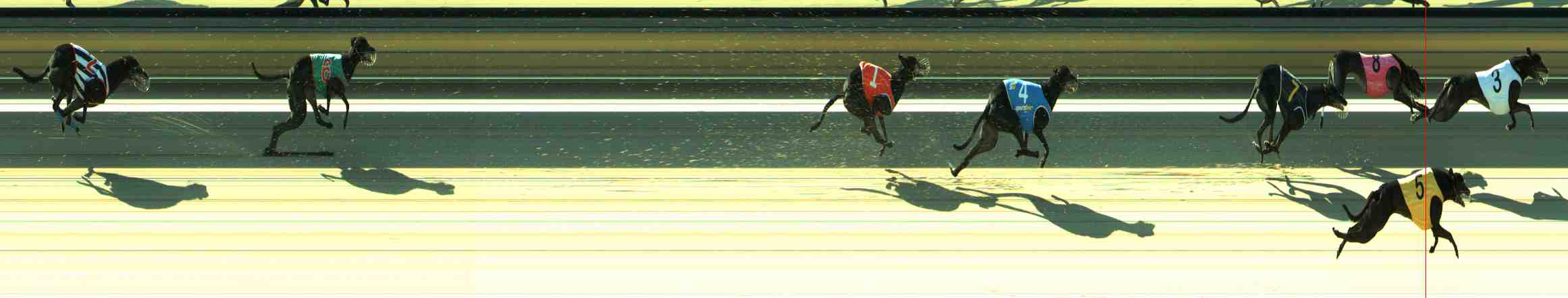 Photo finish for Sale Race 11