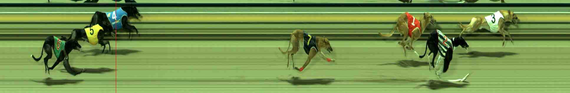 Race result finish photo